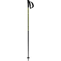 SALOMON X 08 Alpine Ski Poles- Unisex